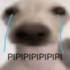 PIPIPIPIPIPIPI