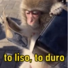 1000 to liso, to duro