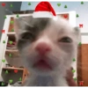 Navideños 🎄😈 9