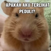 APAKAH AKU TERLIHAT PEDULI?