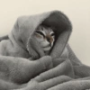 Reações frio 🥶 11