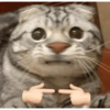 Meme kucing 1 14