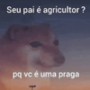 Cantadas duvidosas 😂 9