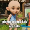 planga plongo kek org tolol