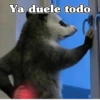 🧿 Tlacuache/ zariguella🦡 24