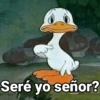 Seré yo señor?