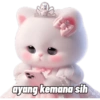 Meme Kucing Princess 👸🏻 6