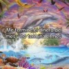 🦄🐬 Symphony Memes 1🐬🦄 22