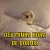 Memes boa noite 7