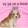 Para las girls 🌹💅👛💵✨ 7