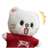 SKZOO ATE EMOTICON 1 14