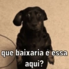 que baixaria é essa aqui?