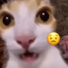 Emoji 🤌😊 5