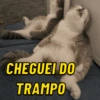 Memes boa noite 5