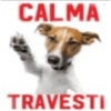 CALMA TRAVESTI