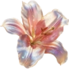 Bunga aesthetic  17