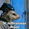 🧿 Tlacuache/ zariguella🦡 5