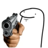 Floks 6
