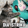 Kucing Anomali 2 12