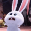 This is Snowball❄️🐰✨ 6