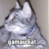 Ngambek 17