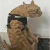 Cukurukuk Bakekok Meme 5