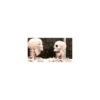 Perritos Juzgando graciosos 👀 18