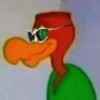 REACOES PICAPAU 5
