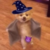 PACK 2 DO MAGO 🧙🧙 16