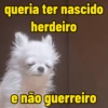queria ter nascido herdeiro e não guerreiro