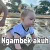Dedek kamari 13