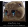 iyi geceler der misin cunku sen demedigin surece iyi degil geceler