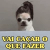VAI CAÇAR O QUE FAZER