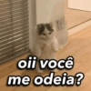 Ninguém gosta de mim 😢 6