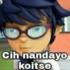 cih nandayo koitse