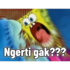 Ngerti gak???