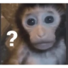 Monitos Reacciones 😍 6