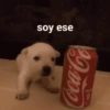 soy ese Coca-Co