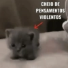 CHEIO DE PENSAMENTOS VIOLENTOS