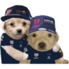 Red Bull Chestappen 7