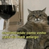 envelhecendo como vinho cada dia mais amargo