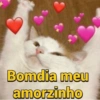Bomdia meu amorzinho