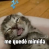Z me quedé mimida