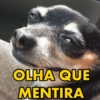 OLHA QUE MENTIRA