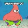 WANI PIRO?