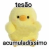 Sapecagens | mozão 16