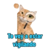 Michi Objeto 🐈‍⬛😽 14