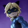 Cat noir 25