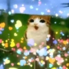 Meowl meme cat🐱✨ 17