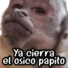 Ya cierra el osico papito